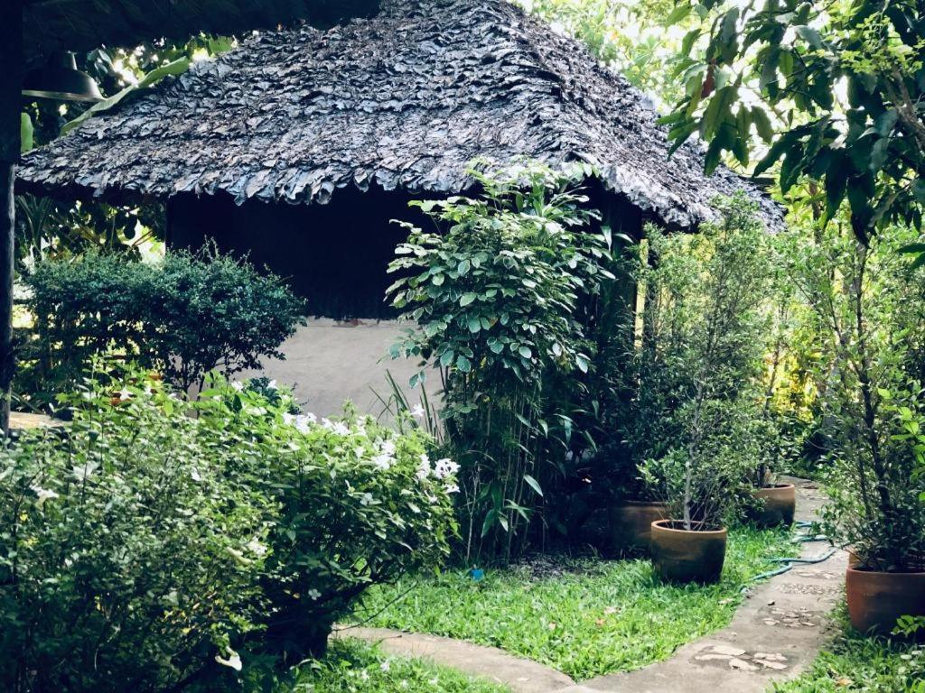 Khun Nai Tern Sai Hotel (Adults Only) Pai Buitenkant foto